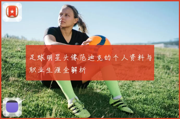 足球明星头像范迪克的个人资料与职业生涯全解析