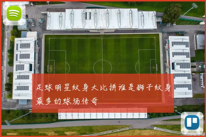 足球明星纹身大比拼谁是狮子纹身最多的球场传奇