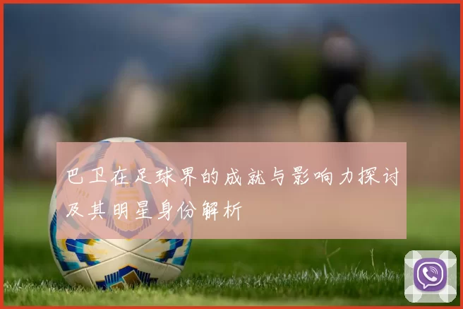 巴卫在足球界的成就与影响力探讨及其明星身份解析