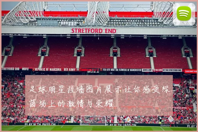 足球明星挂墙图片展示让你感受绿茵场上的激情与荣耀