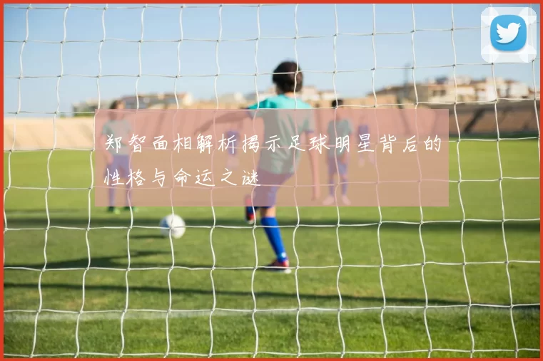 郑智面相解析揭示足球明星背后的性格与命运之谜