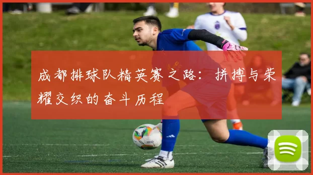 成都排球队精英赛之路：拼搏与荣耀交织的奋斗历程