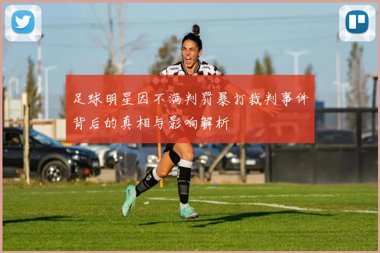 足球明星因不满判罚暴打裁判事件背后的真相与影响解析