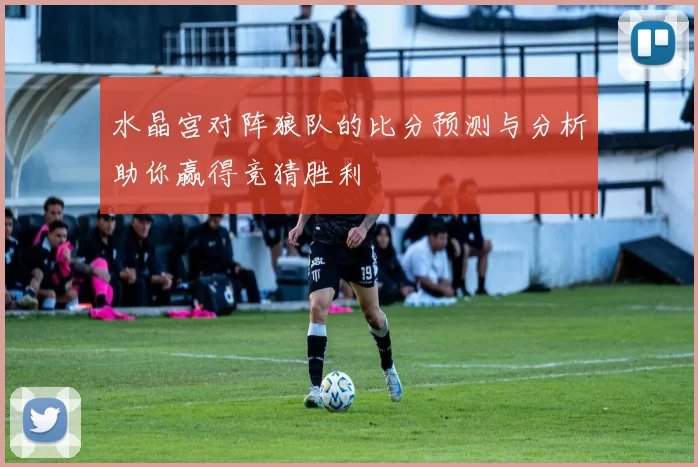 水晶宫对阵狼队的比分预测与分析助你赢得竞猜胜利