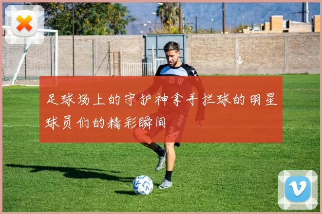 足球场上的守护神拿手拦球的明星球员们的精彩瞬间