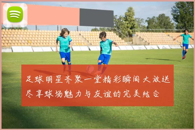 足球明星齐聚一堂精彩瞬间大放送尽享球场魅力与友谊的完美结合