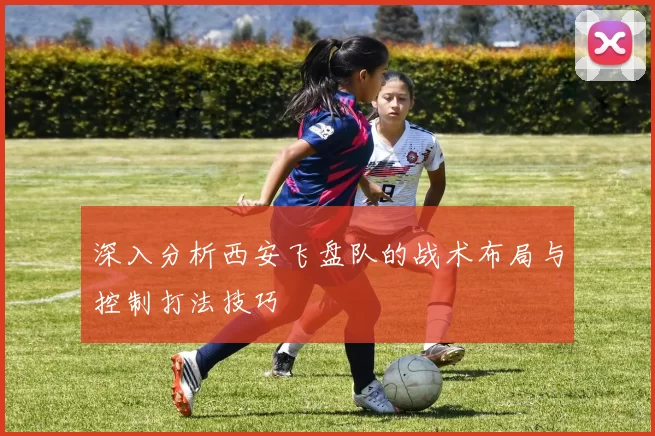 深入分析西安飞盘队的战术布局与控制打法技巧