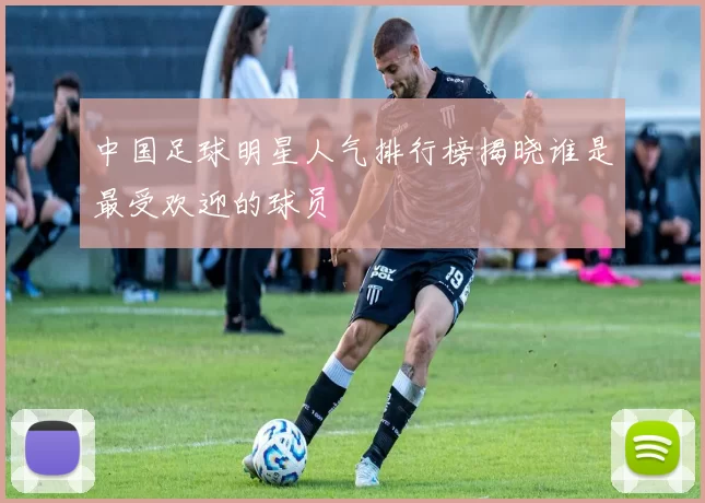 中国足球明星人气排行榜揭晓谁是最受欢迎的球员