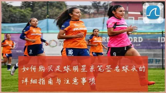 如何购买足球明星亲笔签名球衣的详细指南与注意事项