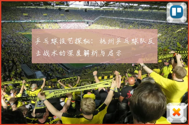 乒乓球技艺探秘：杭州乒乓球队反击战术的深度解析与启示